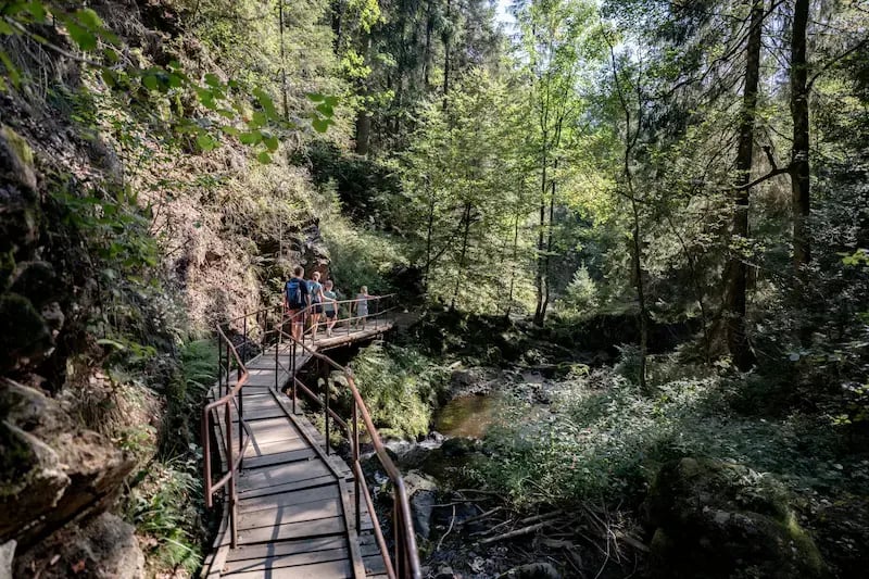 Auf urigen Wegen durch die Ravennaschlucht