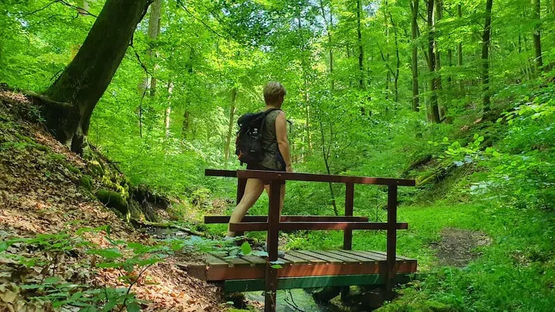Brücke Bärenbach_Bärenbachpfad_Risch_fhd