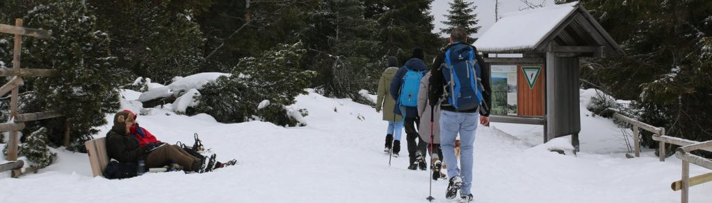 1582031145135besucherzahlen-nationalpark-nordschwarzwald-100_v-7x2@2dL_-bc89d1b8c81b47b66f836795f7bde50a08841ecb-1024x293