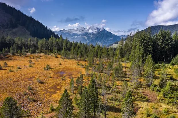 Moorlandschaft_Martin Maegli