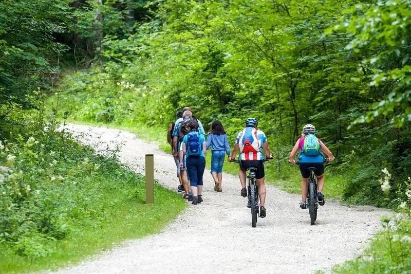 Der MULTI Evo ist die ideale Lösung zum Zählen und Klassifizieren von verschiedenen Nutzergruppen für die natürliche Umgebung.