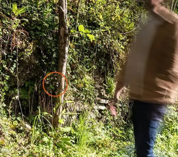 Durch das Erkennen von Wärmeschwankungen zählt der PYRO Nano Ihre Besucher.